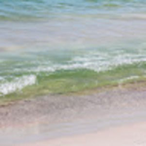 Meet your Posher, Sherry